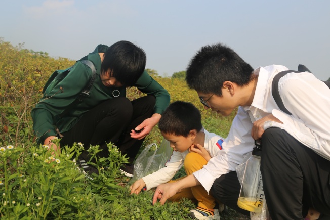 搞点不知道学名的『野香菜』