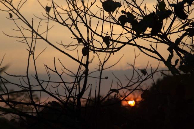 西溪湿地的夕阳